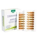 Biocollagenix Ampoules